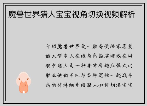 魔兽世界猎人宝宝视角切换视频解析