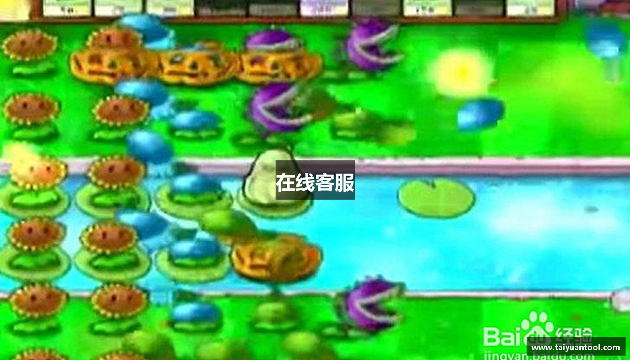 在线客服